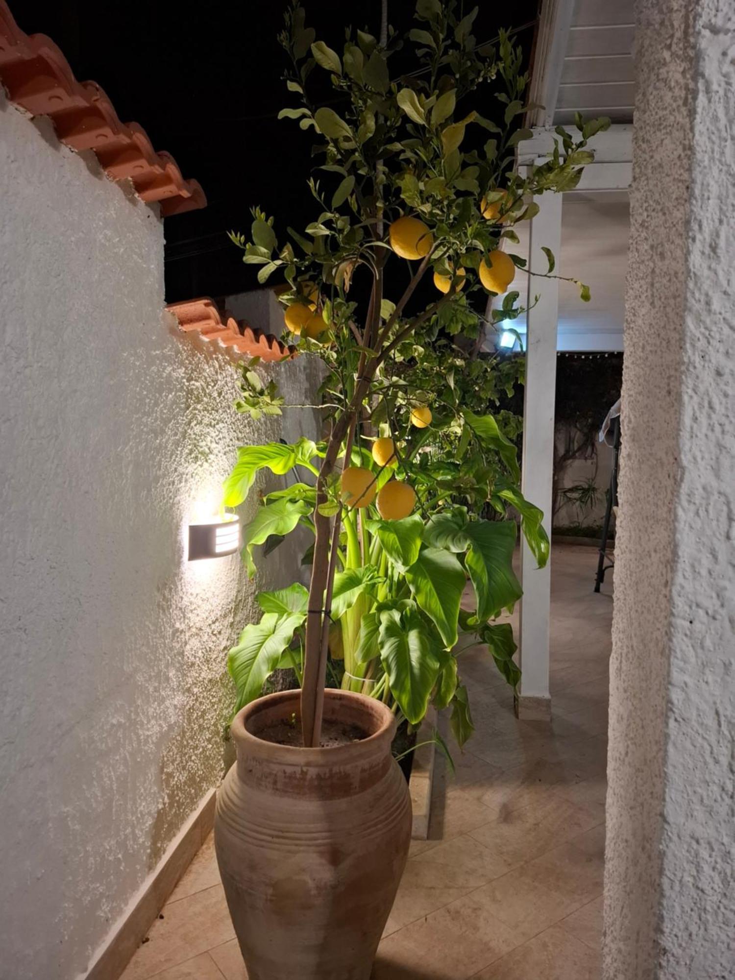 Toluammare Sicily Villa Santa Maria Del Focallo Dış mekan fotoğraf